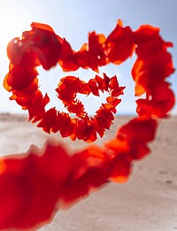 Envoûtement retour amoureux,Rituel retour amoureux gratuit